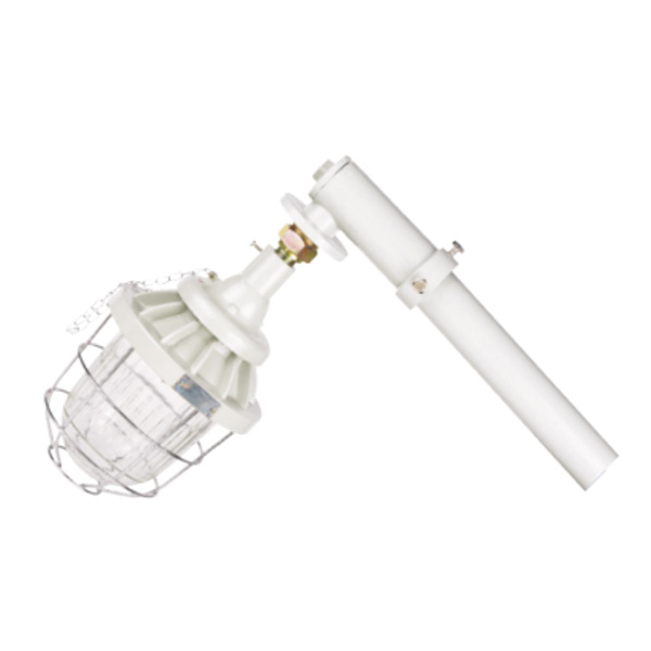 DCM 系列防爆馬路燈(ⅡB、ⅡC、e)